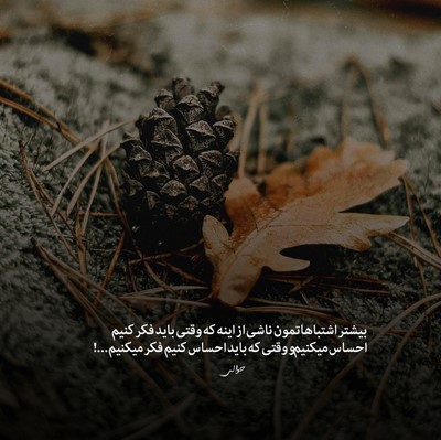 امیر تتلو عین پروانه به دور شمع چشمات همه شب بال زدم
